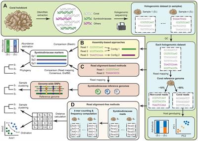 Contaminant or goldmine? In silico assessment of Symbiodiniaceae community using coral hologenomes